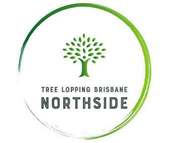 Tree Lopping Brisbane Northside - Tree Removal - Stump Grinding