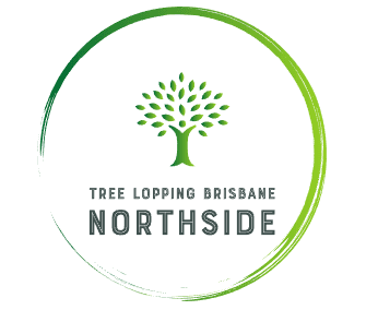 Tree Lopping Brisbane Northside - Tree Removal Service Experts