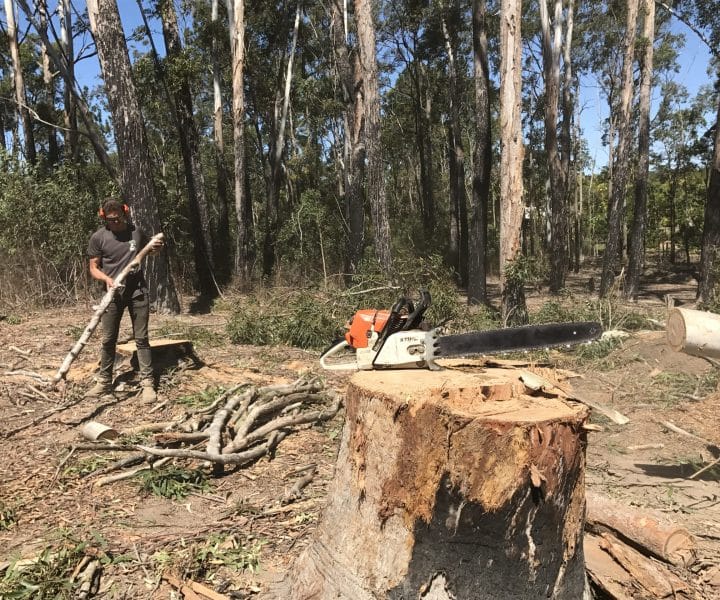 Stump Removal Tree Lopping Brisbane Northside 6 Tree stump extraction Brisbane Northside