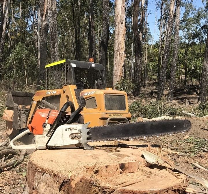 Stump grinding Brisbane Northside Stump grinding Brisbane Northside